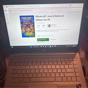 HP laptop and Swiss tech travel bag